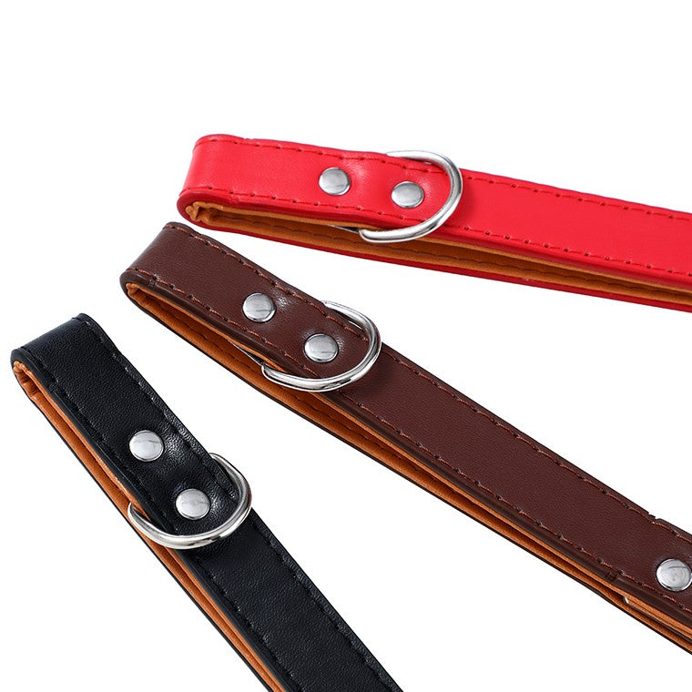 Premium Original Padded Dog Collar, Medium, 4 Asstd Colours