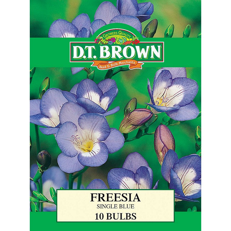 Summer Season Bulbs, Asstd