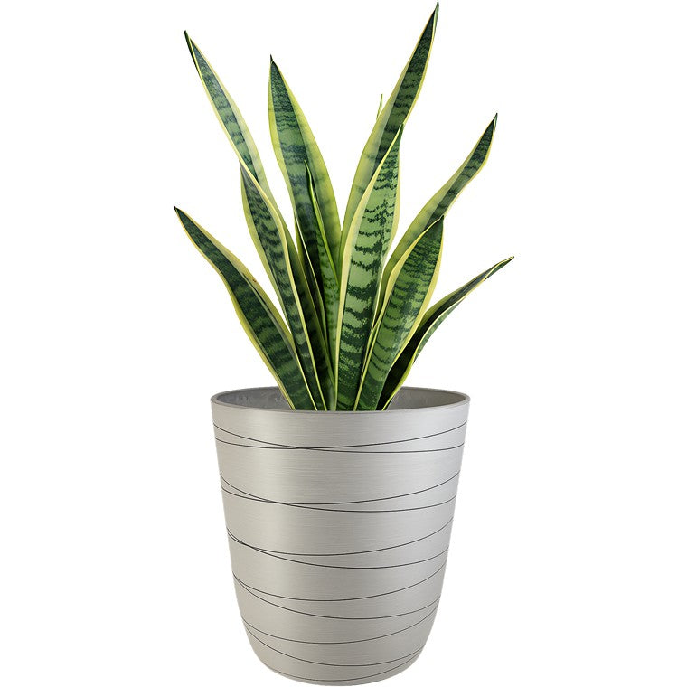 Joseph Planter, 39.3cm