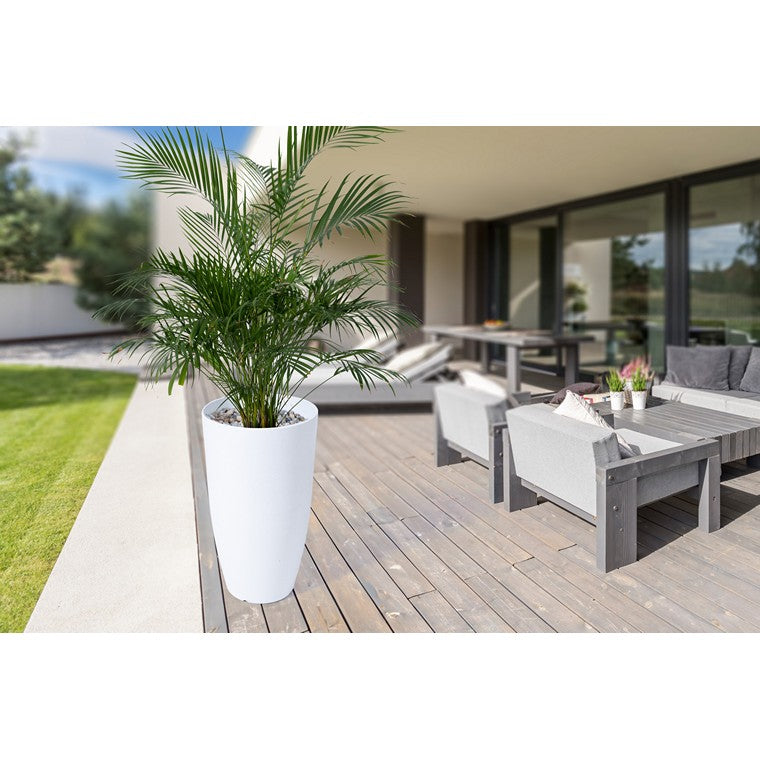 Tall Sand Plastic Planter