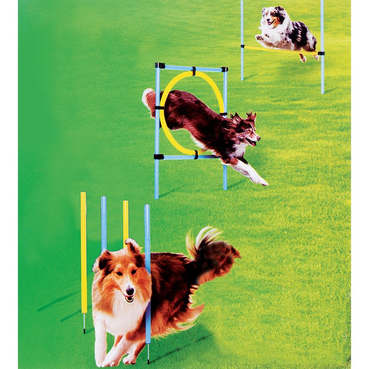 Dog Agility Training Set, 6pce
