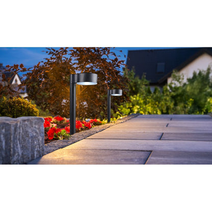 Solar Stake Light, 31cm