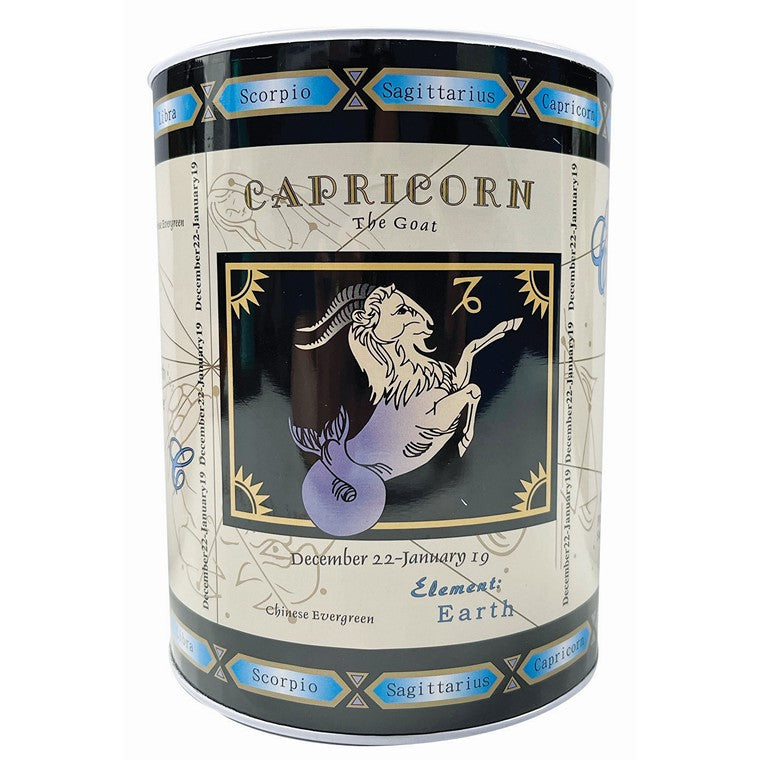 Zodiac Money Tin, Assorted