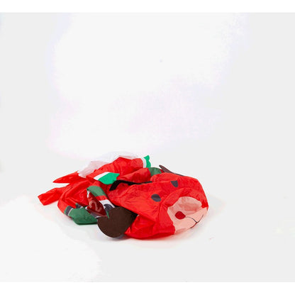 R/C Musical Santa Reindeer Race Car