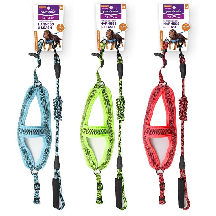Mesh Lead & Harness, Medium, 3 Asstd Colours