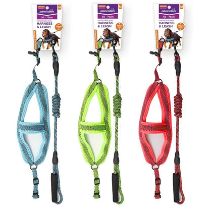 Mesh Lead & Harness, Medium, 3 Asstd Colours
