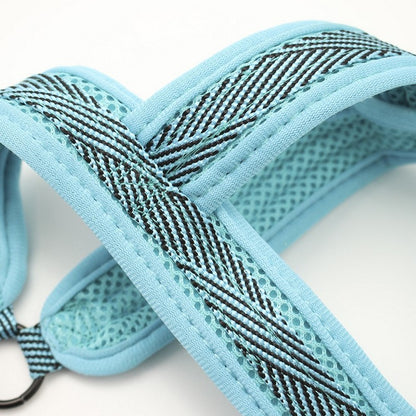 Mesh Lead & Harness, Medium, 3 Asstd Colours