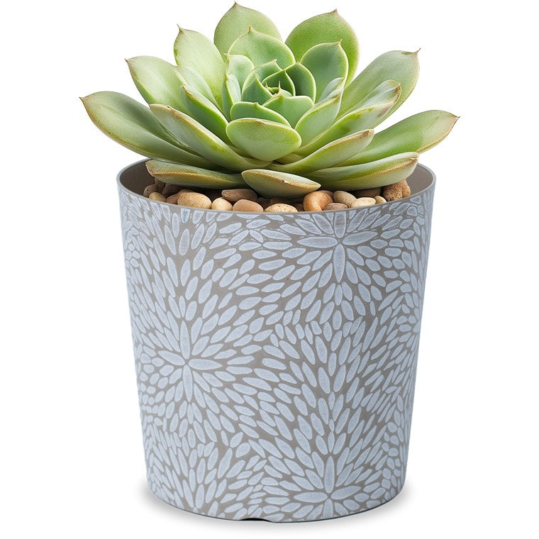 Gorgeous Planter, 20cm